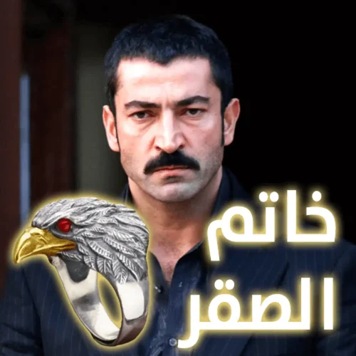 sakr1e